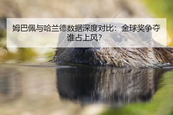 姆巴佩与哈兰德数据深度对比：金球奖争夺谁占上风？